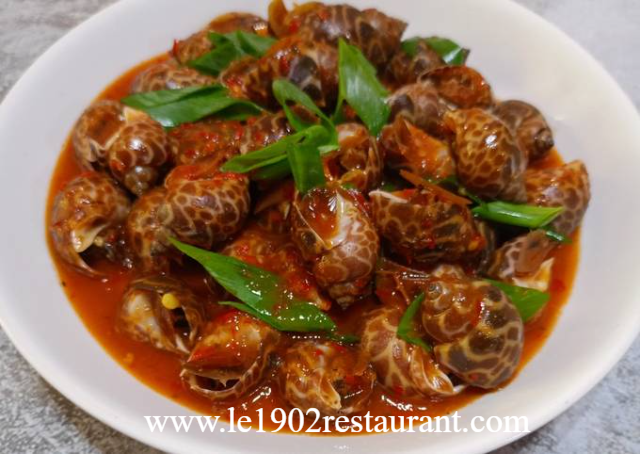 Resep Keong Macan Saus Padang Cita Rasa Pedas Gurih